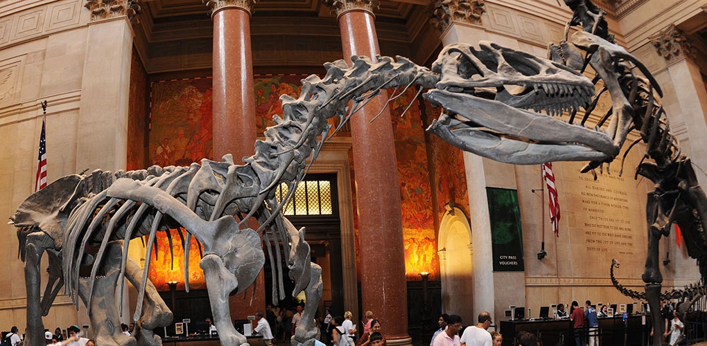 American Museum of Natural History