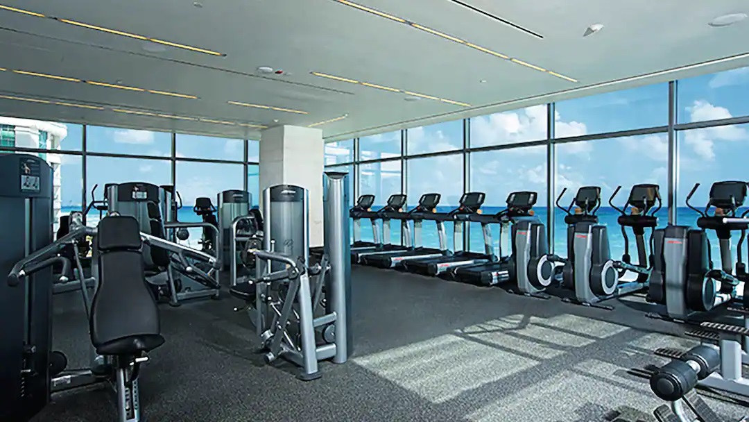 Secrets the Vine Gym