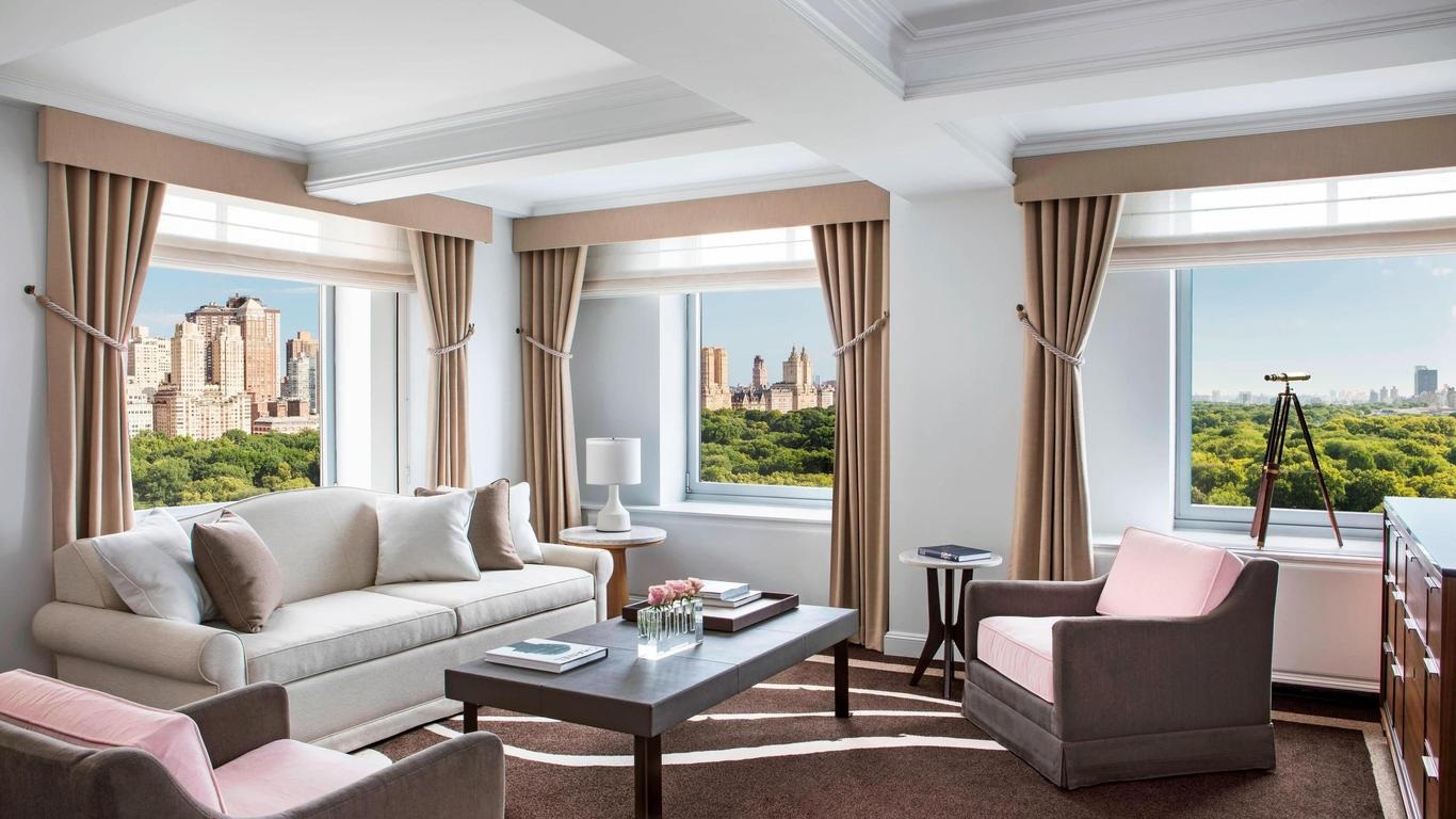 THE RITZ-CARLTON NEW YORK Room View