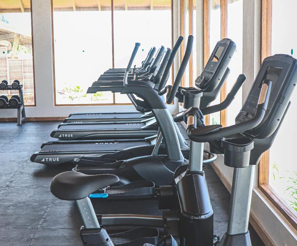 Cinnamon Hakuraa Huraa Gym