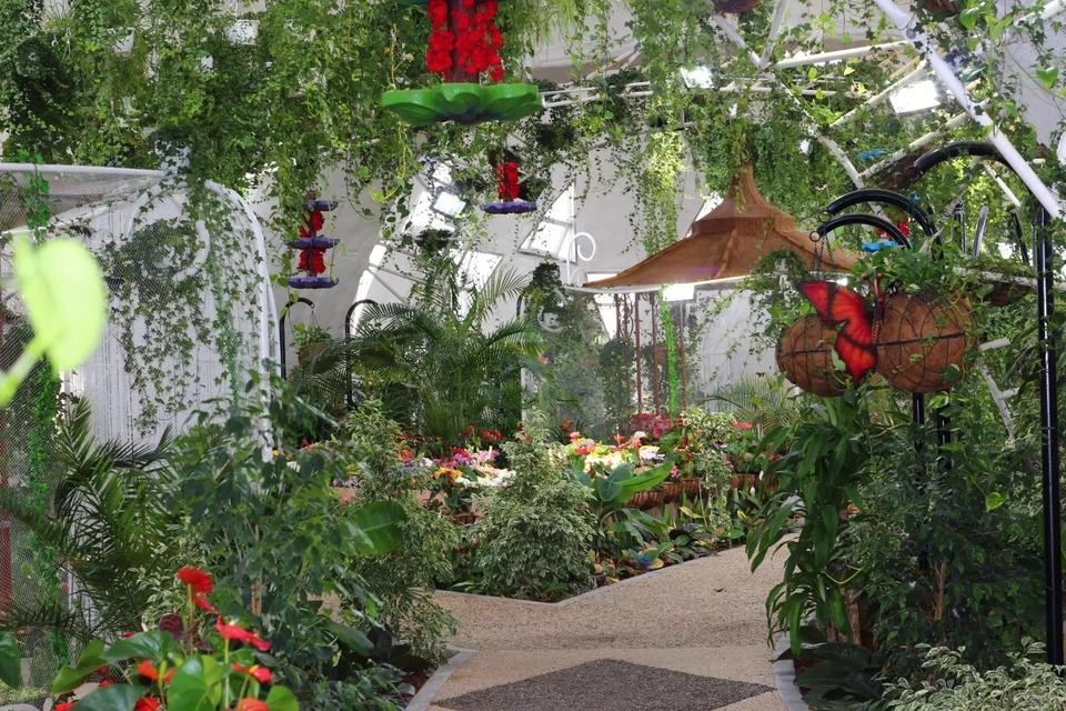 Dubai Butterfly Garden Pavilion