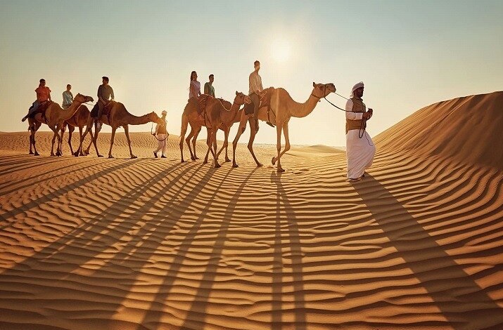 Dubai Red Dune Safari Camel