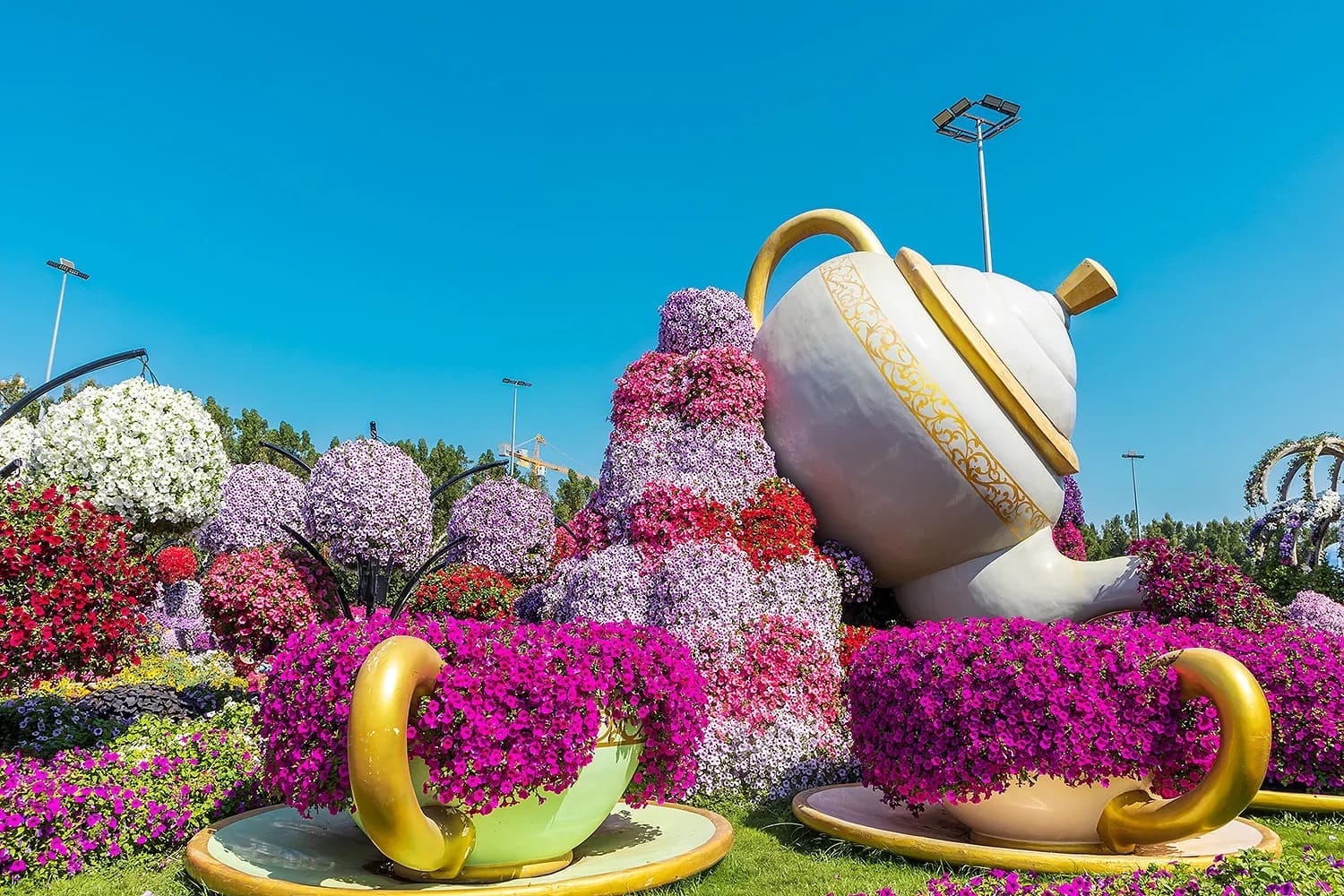 Miracle Garden Pot