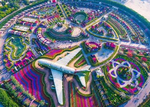 Miracle Garden View