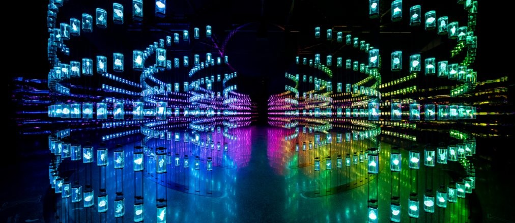 Museum Of The Future Dubai